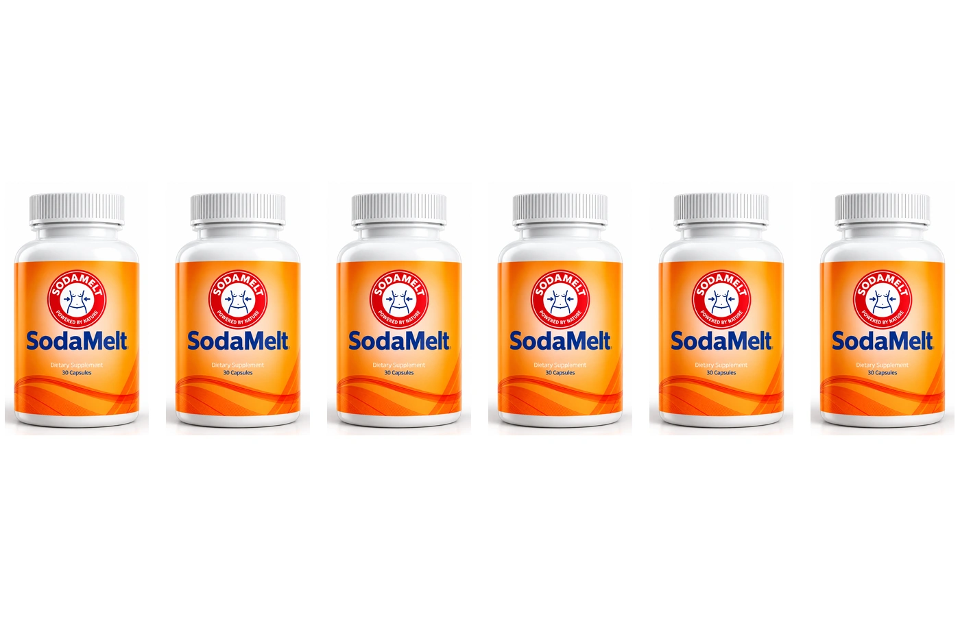 SodaMelt six bottle option